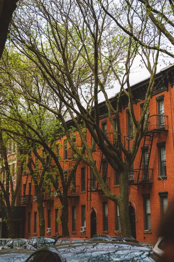 NYC co-op buildings