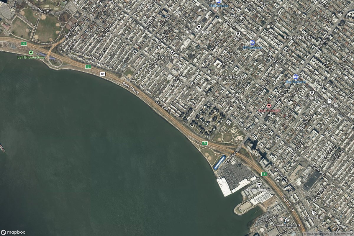 Bath Beach real estate